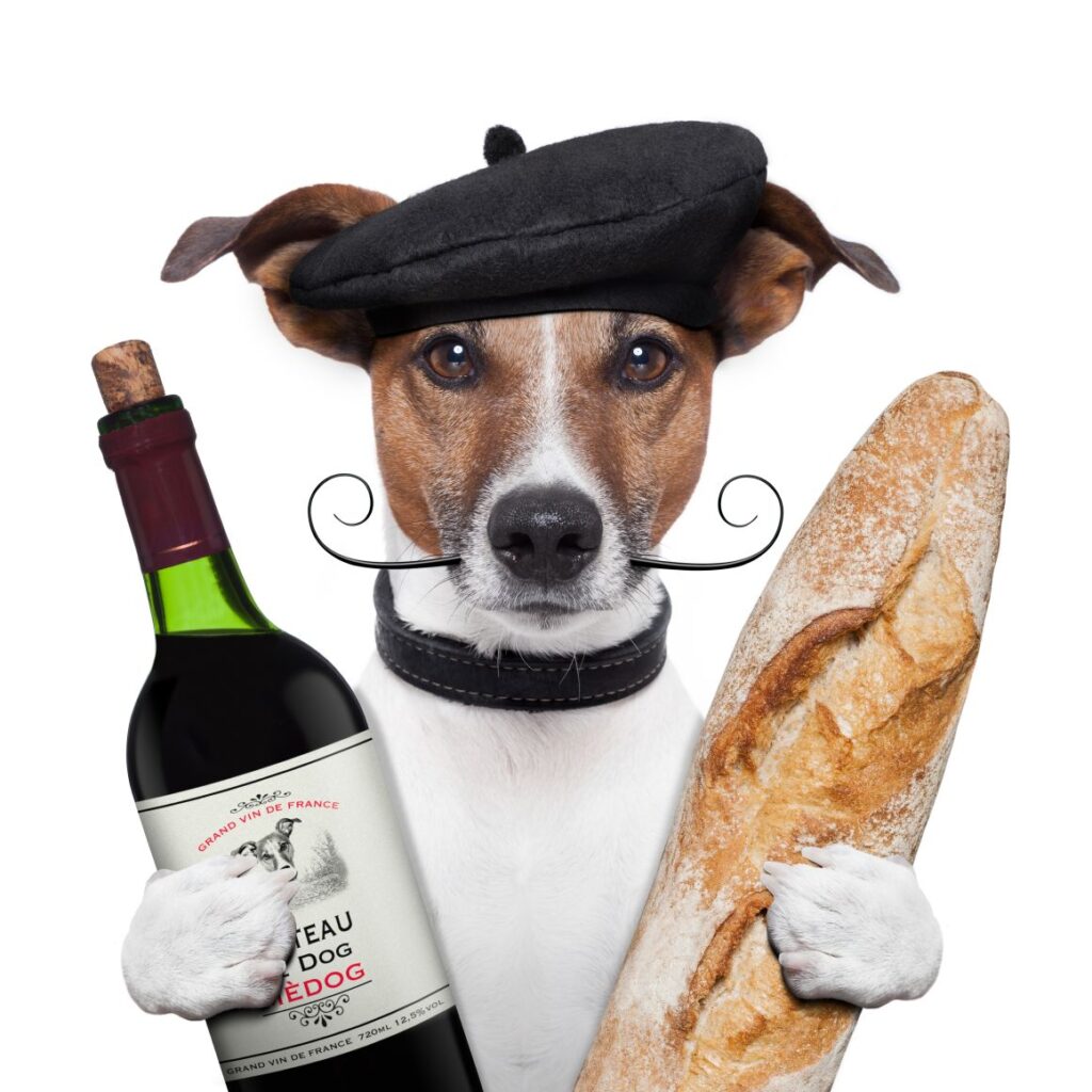 French Dog